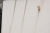 XAA3387_2.jpg