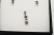 WDM5937_3.jpg